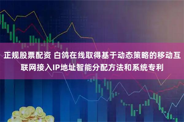 正规股票配资 白鸽在线取得基于动态策略的移动互联网接入IP地址智能分配方法和系统专利